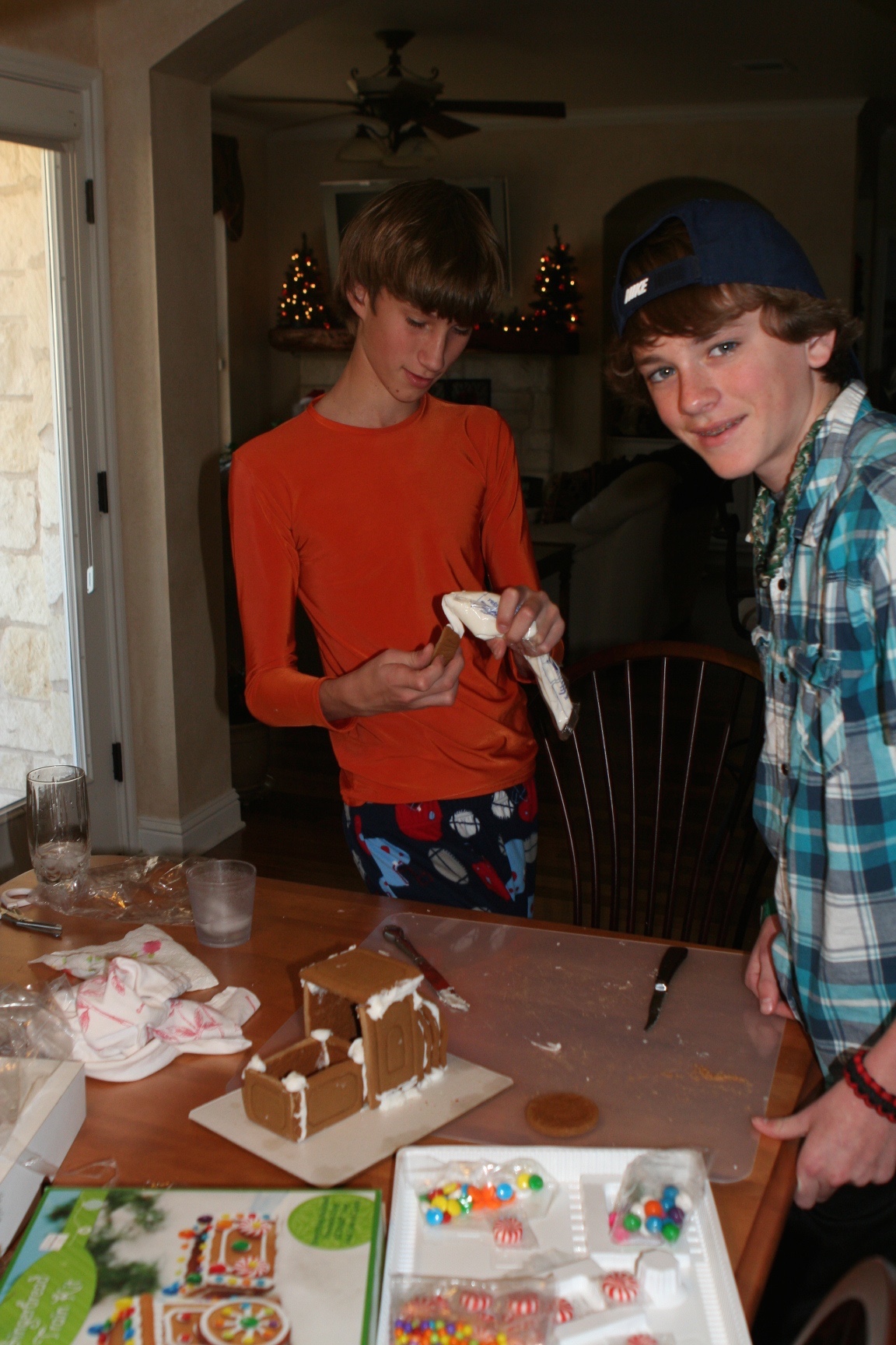 2012-12-25-Christmas-Day-10-gingerbread-house-Chance-Vale.jpg